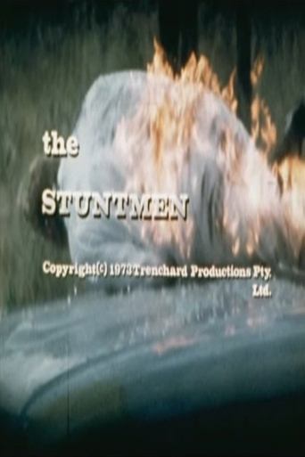 Poster of The Stuntmen