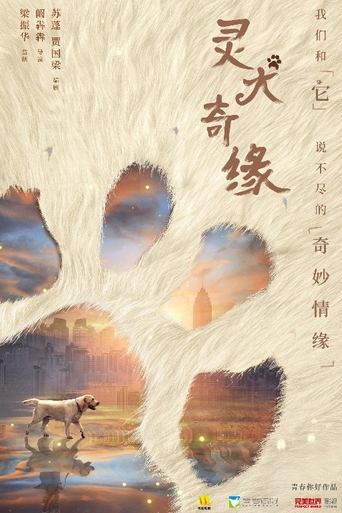 Poster of 灵犬奇缘