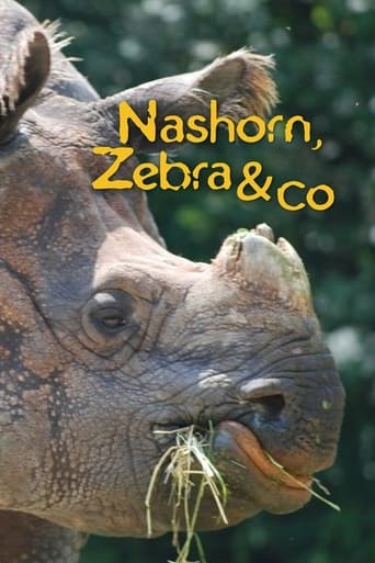 Poster of Nashorn, Zebra & Co.