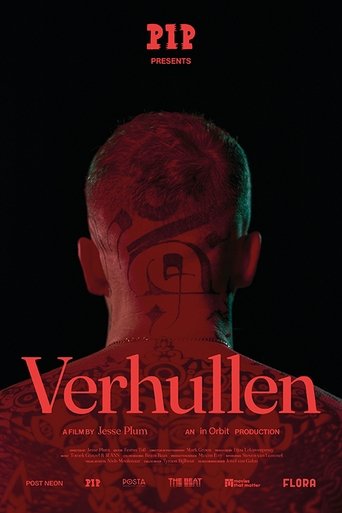 Poster of Conceal