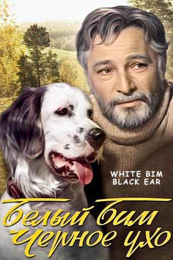 Poster of White Bim Black Ear