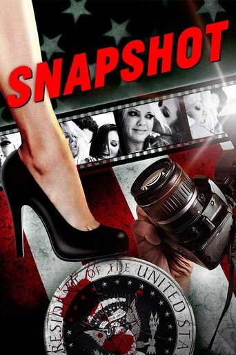 Poster of Snapshot