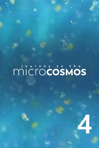 Portrait for Journey to the Microcosmos - Season 4