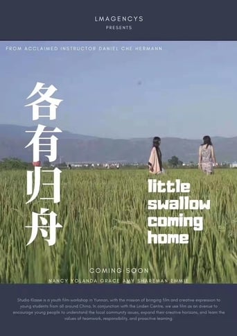 Poster of Little Swallow Coming Home