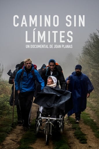 Poster of The Way Without Limits