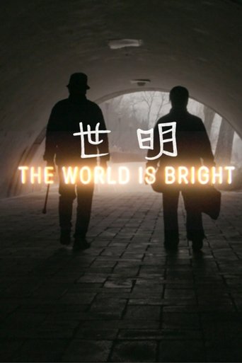 Poster of The World Is Bright