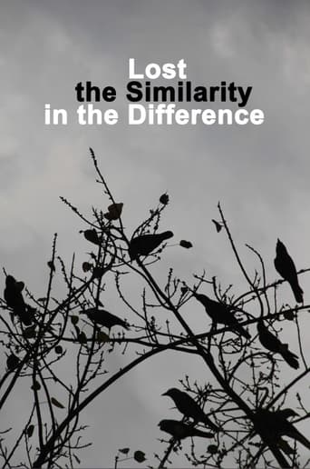 Poster of Lost the Similarity in the Difference