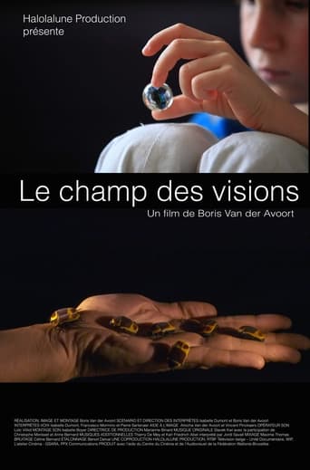 Poster of Le Champ des visions