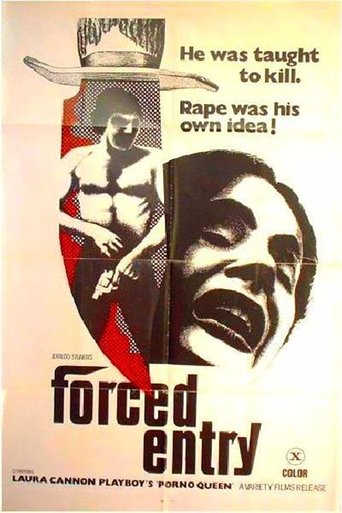 Poster of Forced Entry
