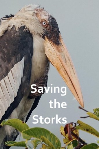 Poster of Saving the Storks with Sir David Attenborough