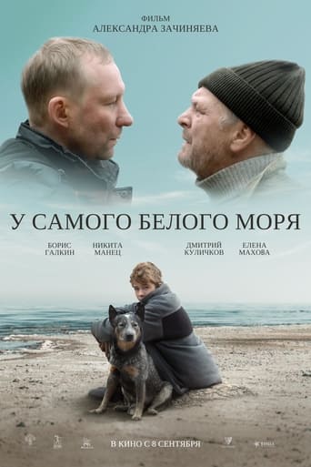 Poster of By The White Sea