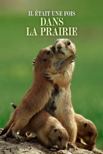 Poster of Il était une fois dans la prairie