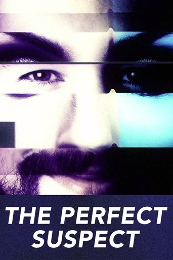 Poster of The Perfect Suspect