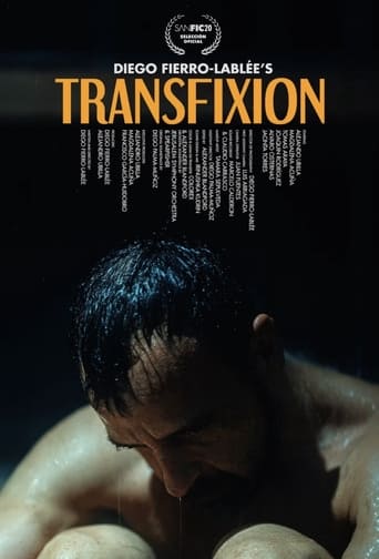 Poster of Transfixion