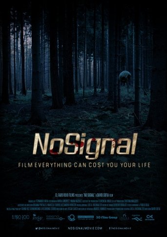 Poster of No Signal