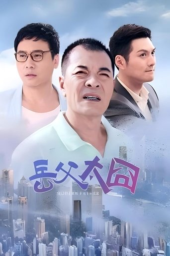 Poster of 摩登岳父