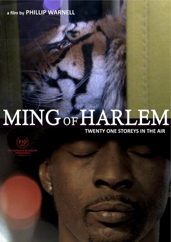 Poster of Ming of Harlem: Twenty One Storeys in the Air