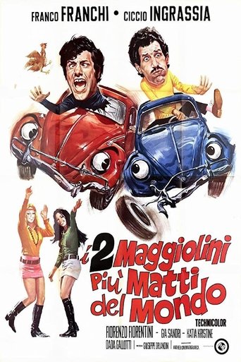 Poster of I due maggiolini più matti del mondo