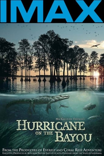 Poster of Hurricane on the Bayou