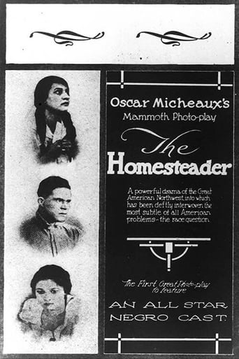 Poster of The Homesteader