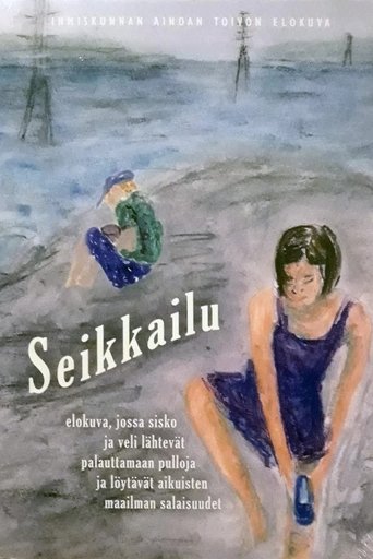 Poster of Seikkailu