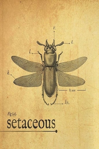 Poster of Setaceous