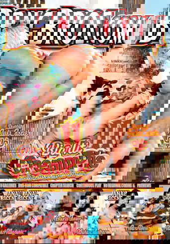 Poster of Big Tit Cream Pie 11