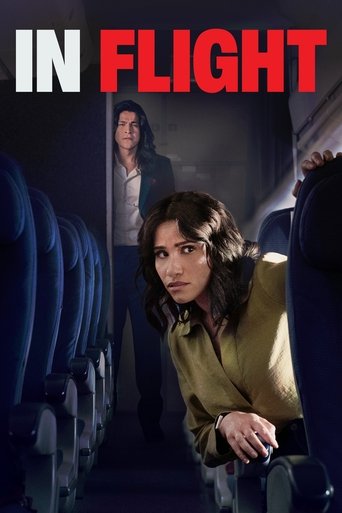 Poster of In Flight