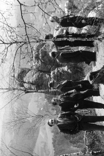 Poster of The Seven from the Rhine