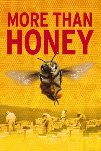 Poster of More Than Honey