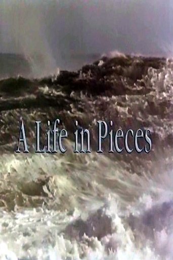 A Life In Pieces Poster of A Life In Pieces