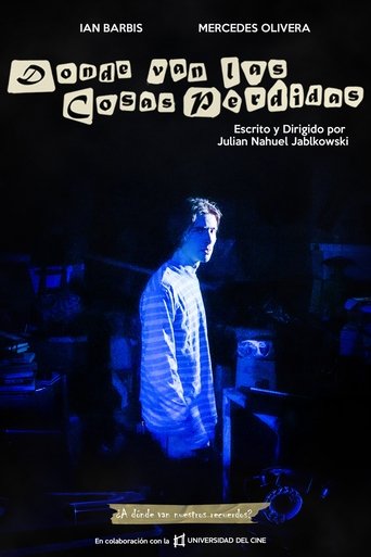 Poster of Where the Lost Things go