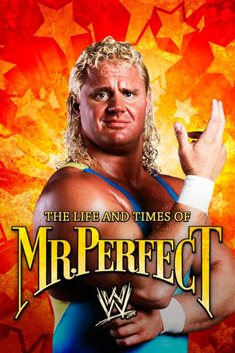 Poster of The Life and Times of Mr. Perfect