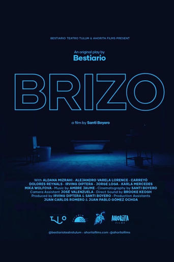 Poster of Brizo