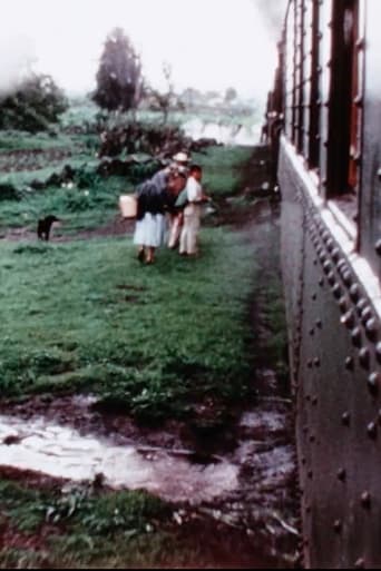 Poster of The Mexican Footage