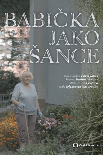 Poster of Babička jako Šance