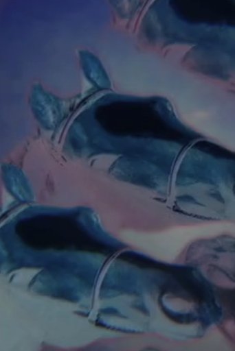 Poster of Drowning Horses