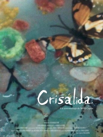 Poster of Crisálida