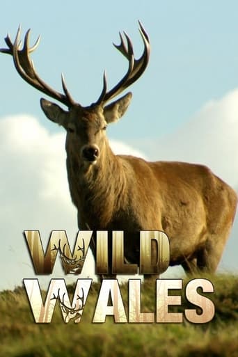 Poster of Wild Wales