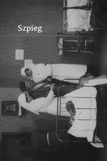 Poster of The Spy