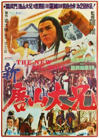 Poster of 劍花煙雨江南