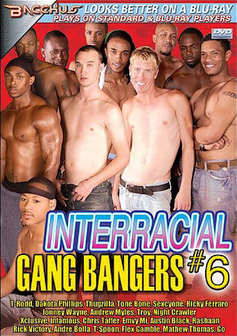 Poster of Interracial Gang Bangers 6