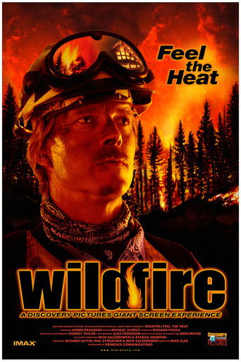 Poster of Wildfire: Feel the Heat