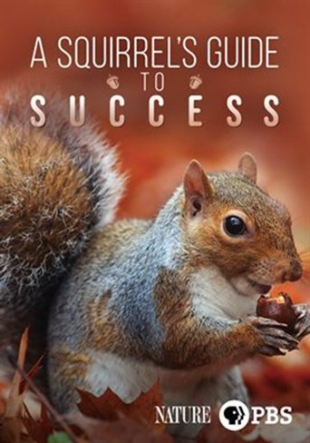 Poster of A Squirrel's Guide to Success