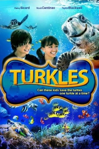 Poster of Turkles