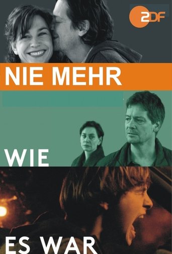 Poster of Nie mehr wie es war