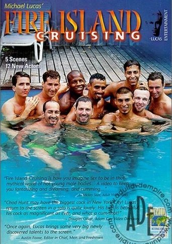 Poster of Fire Island Cruising 1
