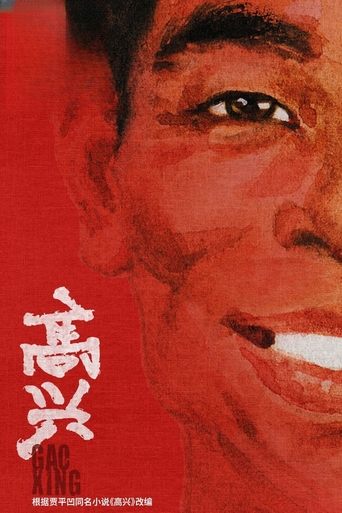 Poster of 高兴