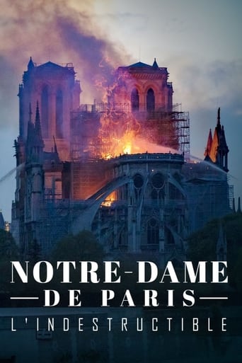 Poster of Notre-Dame de Paris, l'indestructible