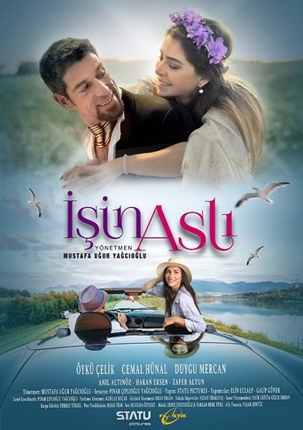 Poster of İşin Aslı